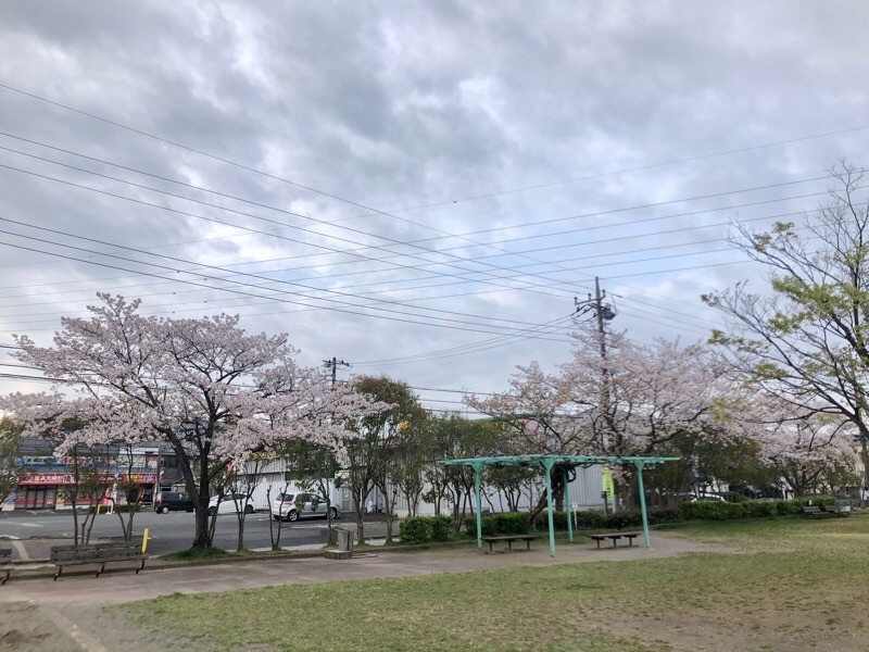 f:id:ef651065:20210328073049j:image