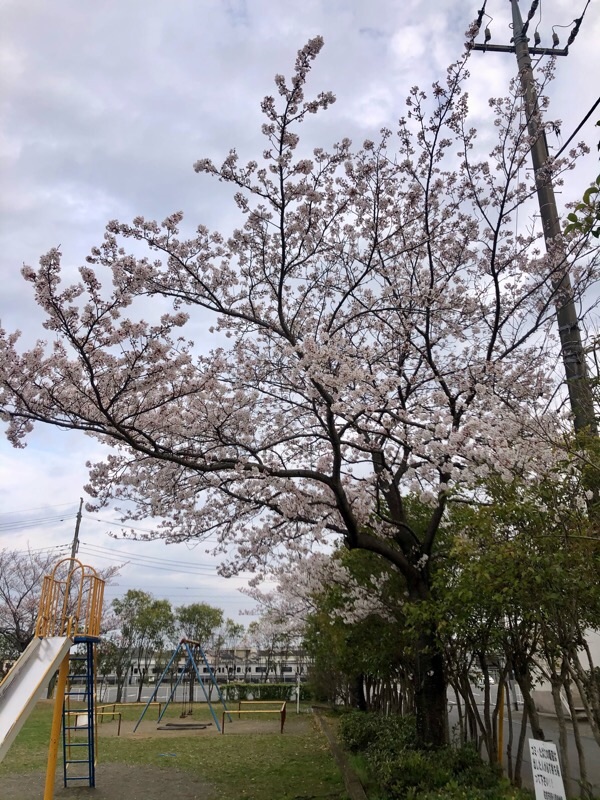 f:id:ef651065:20210328073052j:image