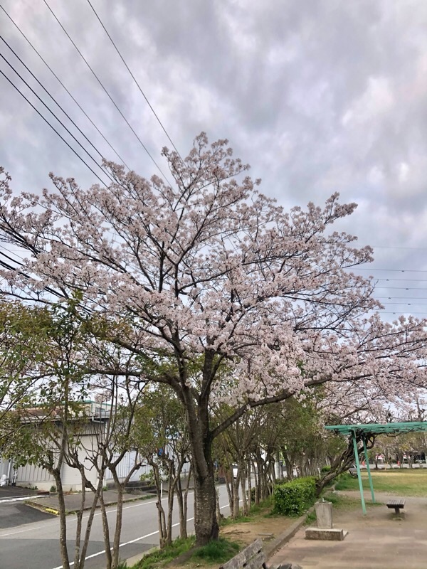 f:id:ef651065:20210328073055j:image
