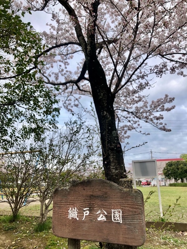 f:id:ef651065:20210328073107j:image