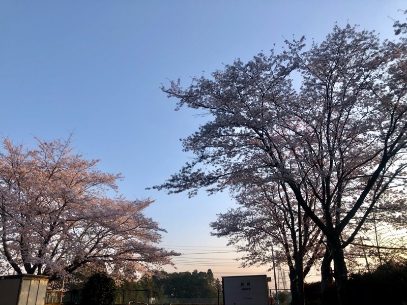 f:id:ef651065:20210402123323j:image