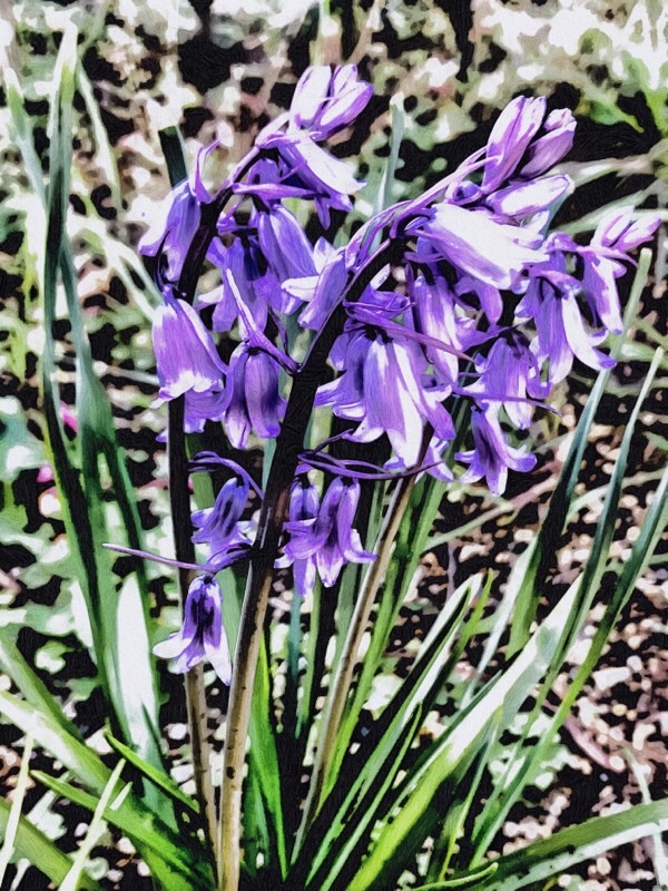 f:id:ef651065:20210411160759j:image