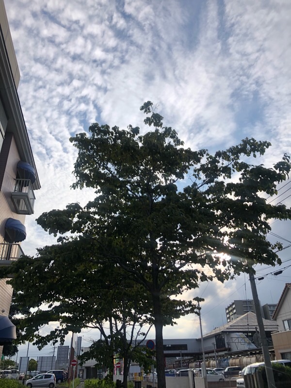 f:id:ef651065:20210714234809j:image