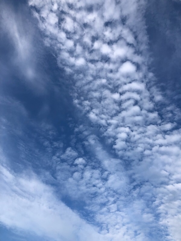 f:id:ef651065:20210714234812j:image