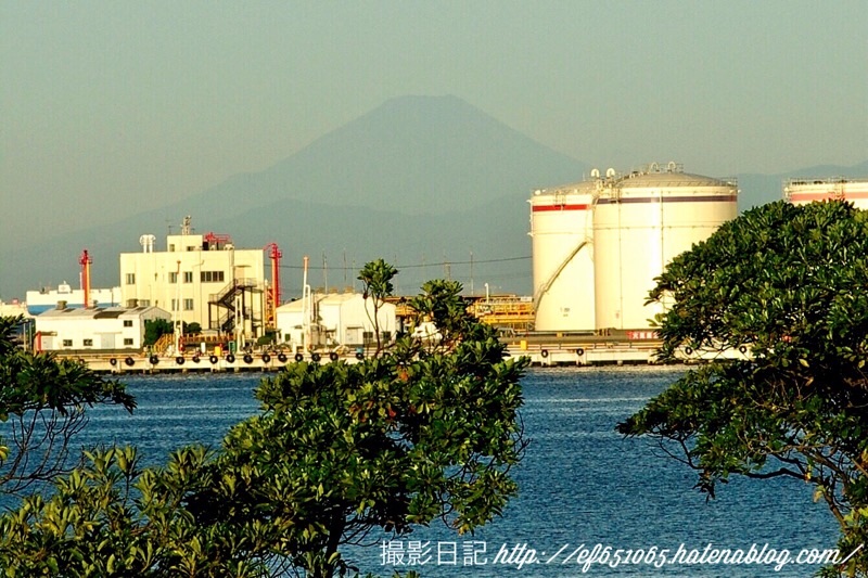 f:id:ef651065:20210920091507j:image