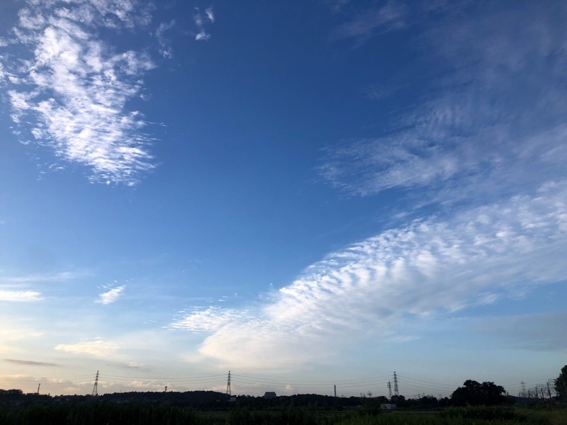 f:id:ef651065:20210928113631j:image
