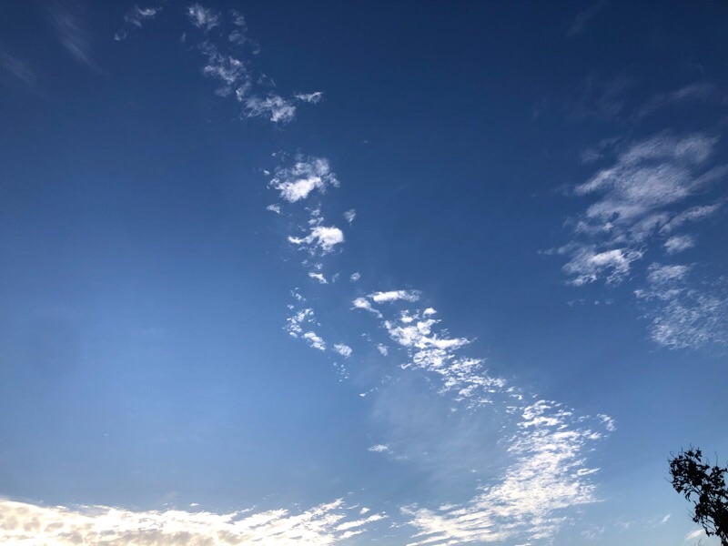 f:id:ef651065:20210928113633j:image