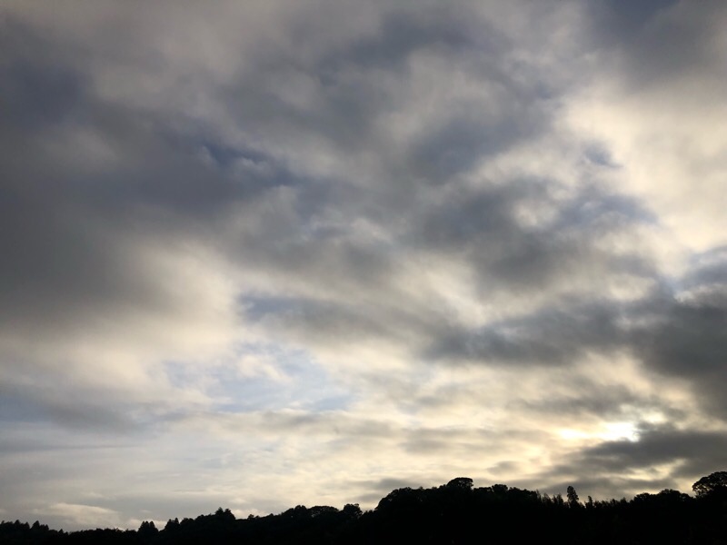 f:id:ef651065:20210928113636j:image