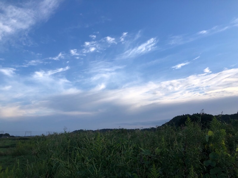 f:id:ef651065:20210928113639j:image