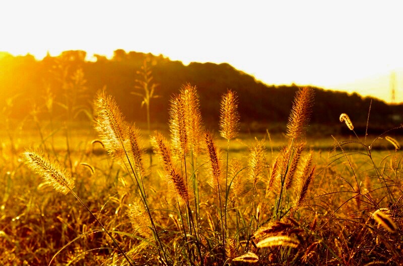 f:id:ef651065:20211006104045j:image
