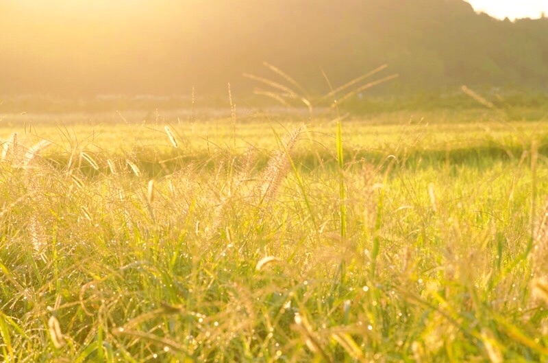 f:id:ef651065:20211006104048j:image