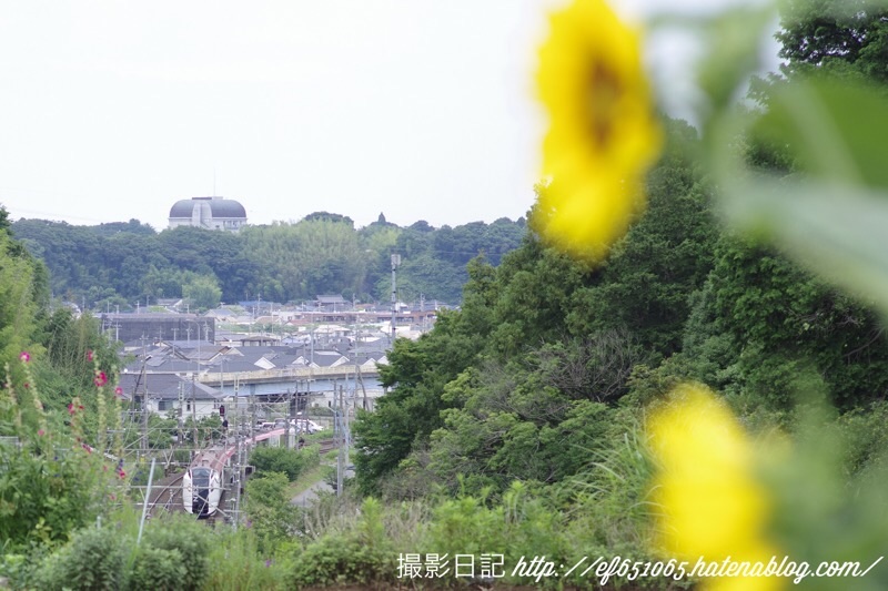 f:id:ef651065:20211018232655j:image
