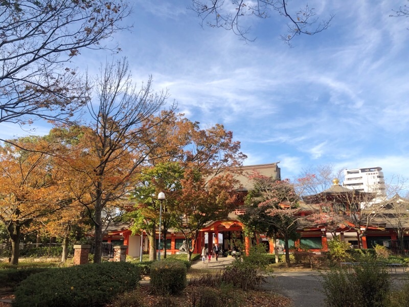 f:id:ef651065:20211113004744j:image