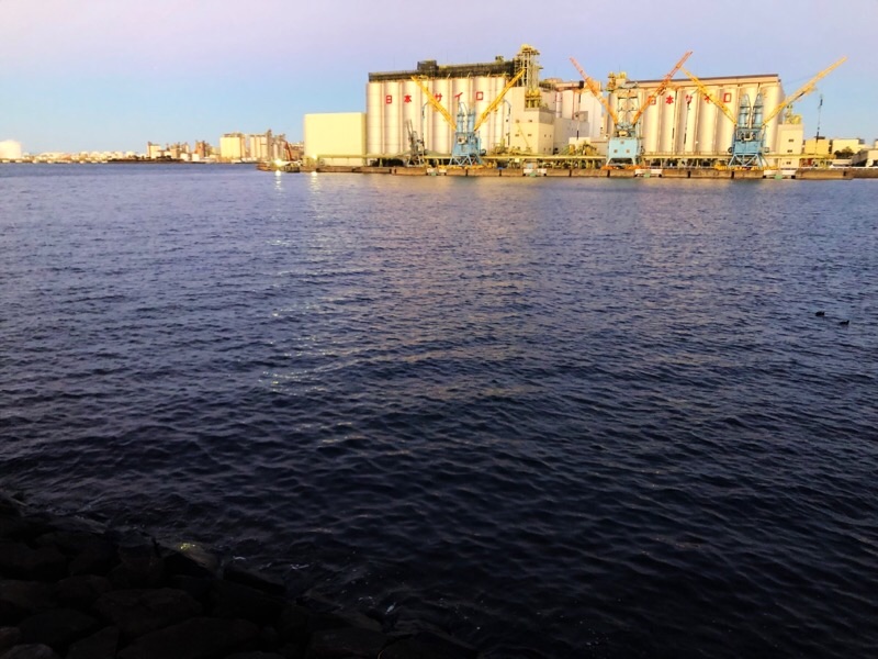 f:id:ef651065:20220105082834j:image