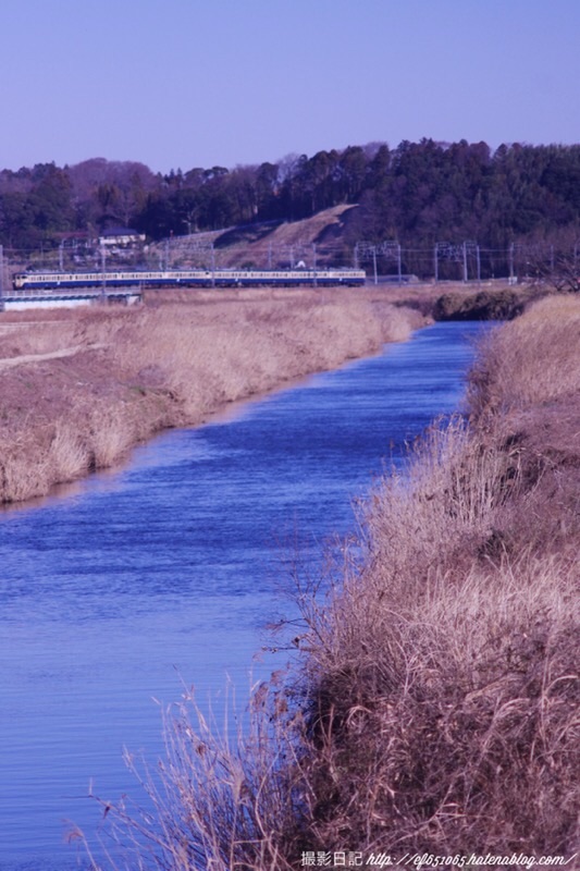 f:id:ef651065:20220123213449j:image