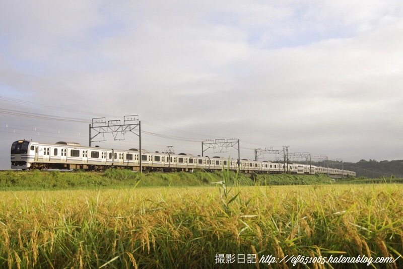 f:id:ef651065:20220131014036j:image