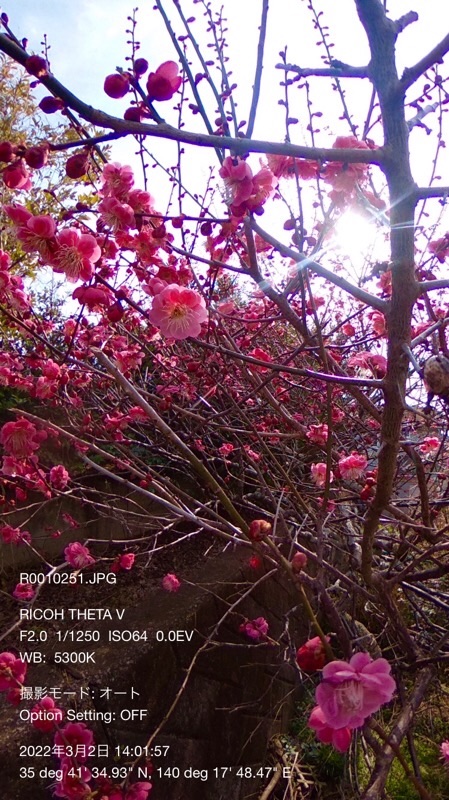 f:id:ef651065:20220302165922j:image