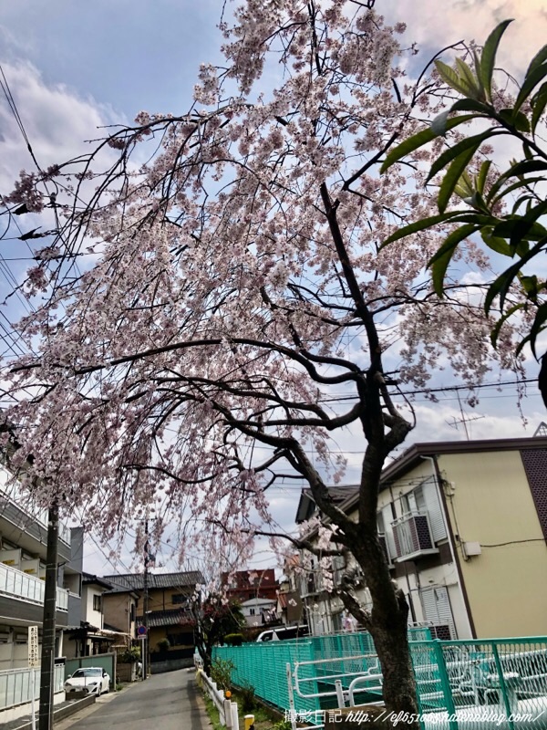 f:id:ef651065:20220328150729j:image