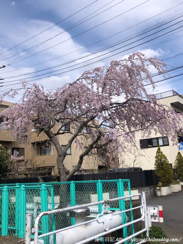 f:id:ef651065:20220328150732j:image