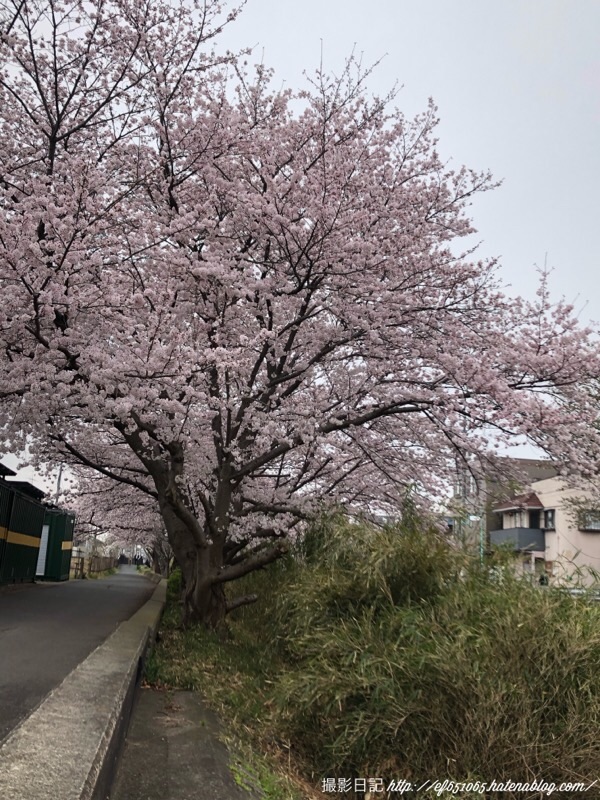 f:id:ef651065:20220330110221j:image