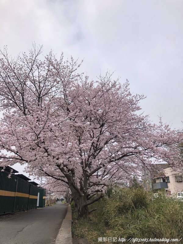 f:id:ef651065:20220330110230j:image