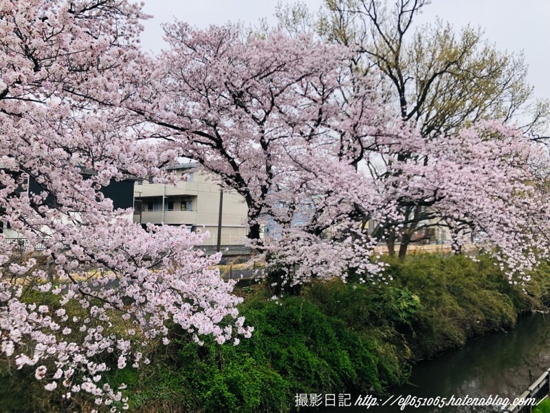 f:id:ef651065:20220330110233j:image