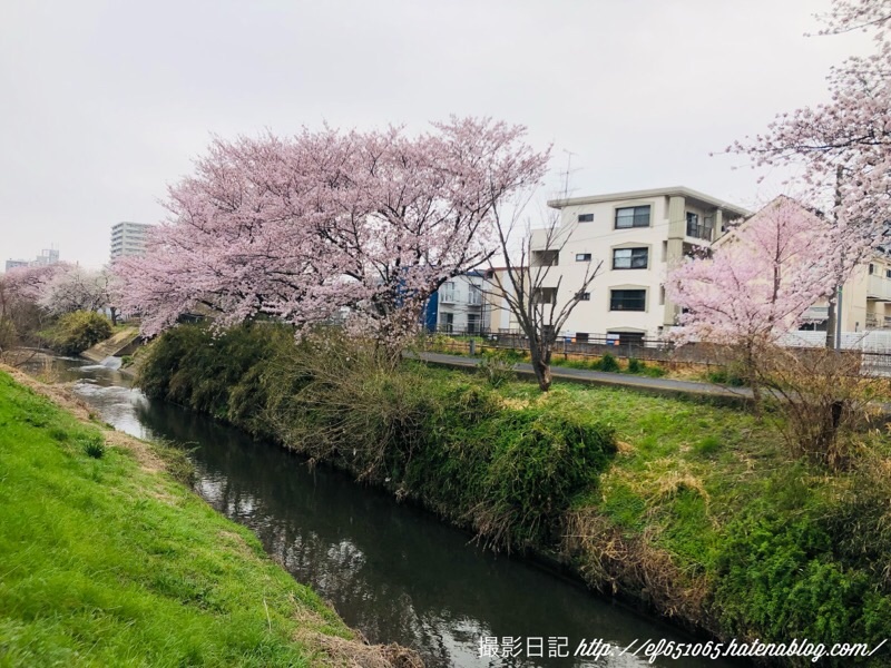 f:id:ef651065:20220330110236j:image