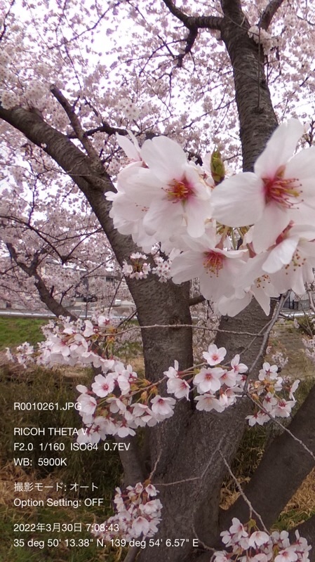 f:id:ef651065:20220330113017j:image