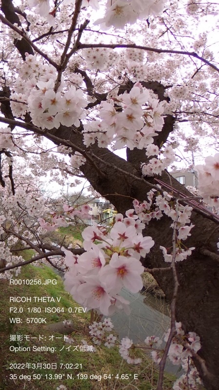 f:id:ef651065:20220330113020j:image