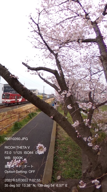 f:id:ef651065:20220330113026j:image