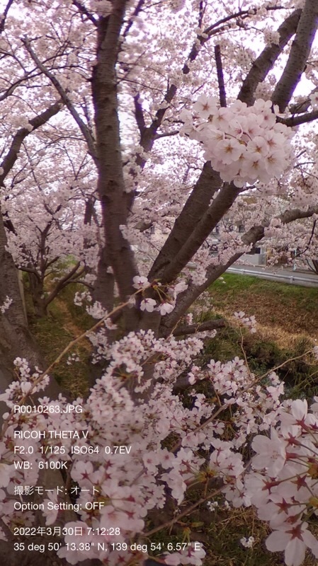 f:id:ef651065:20220330113029j:image