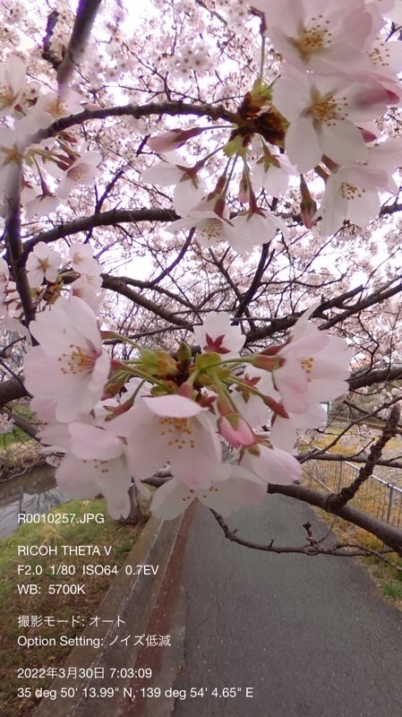 f:id:ef651065:20220330113032j:image