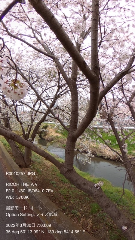 f:id:ef651065:20220330113035j:image