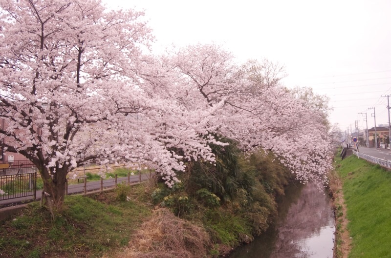 f:id:ef651065:20220330122949j:image