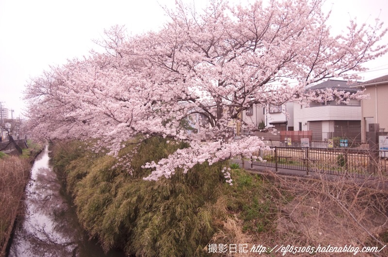 f:id:ef651065:20220330123000j:image