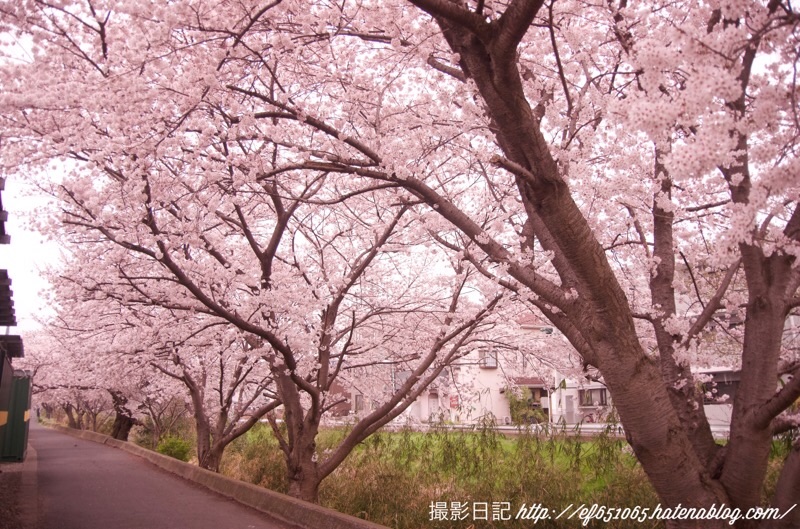 f:id:ef651065:20220330123004j:image