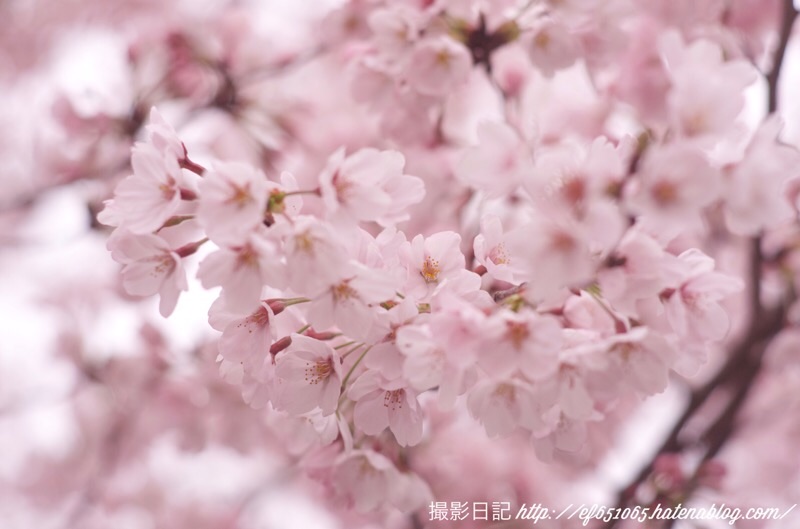 f:id:ef651065:20220330123006j:image