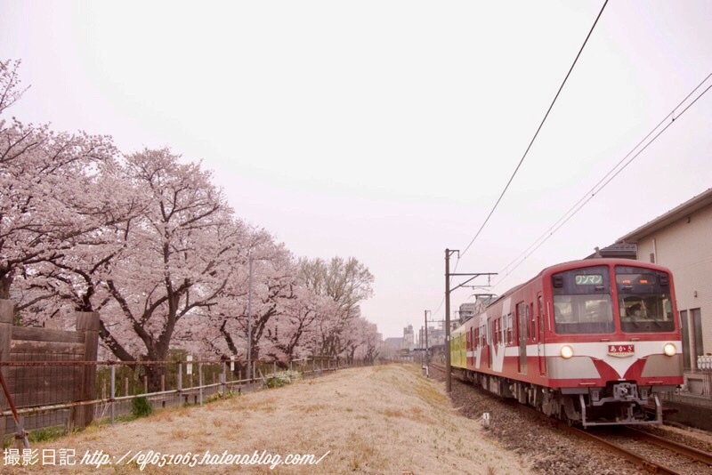 f:id:ef651065:20220331034744j:image