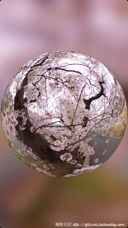 f:id:ef651065:20220402063310j:image