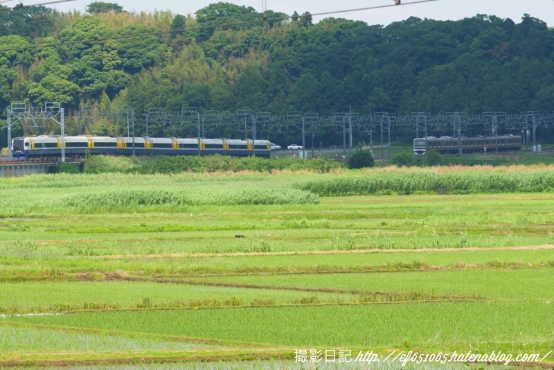 f:id:ef651065:20220528195135j:image