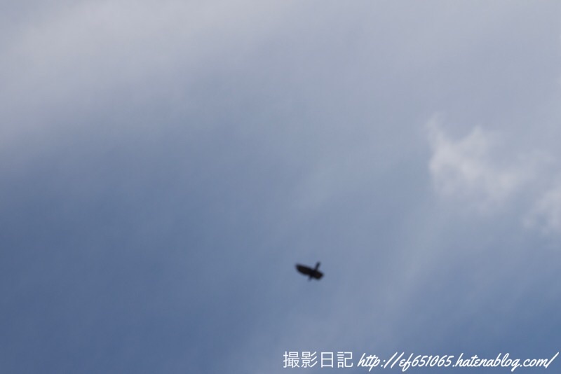 f:id:ef651065:20220912163733j:image