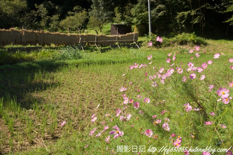 f:id:ef651065:20220928163202j:image