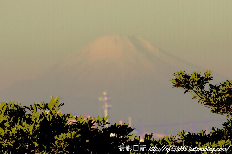 f:id:ef651065:20221216203711j:image