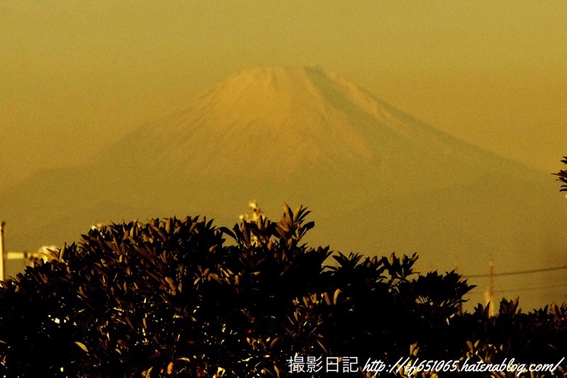 f:id:ef651065:20221216204005j:image