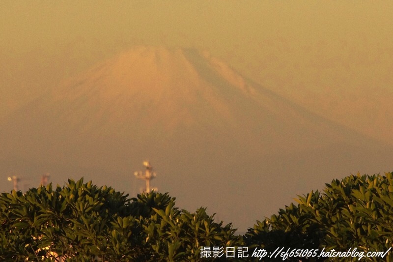 f:id:ef651065:20221216204119j:image