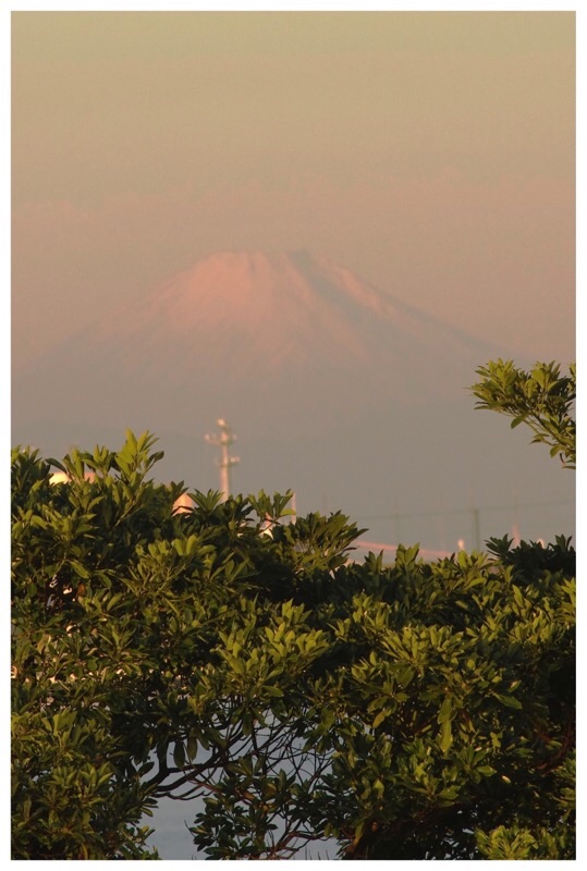f:id:ef651065:20221216230006j:image