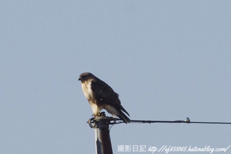f:id:ef651065:20230108131819j:image