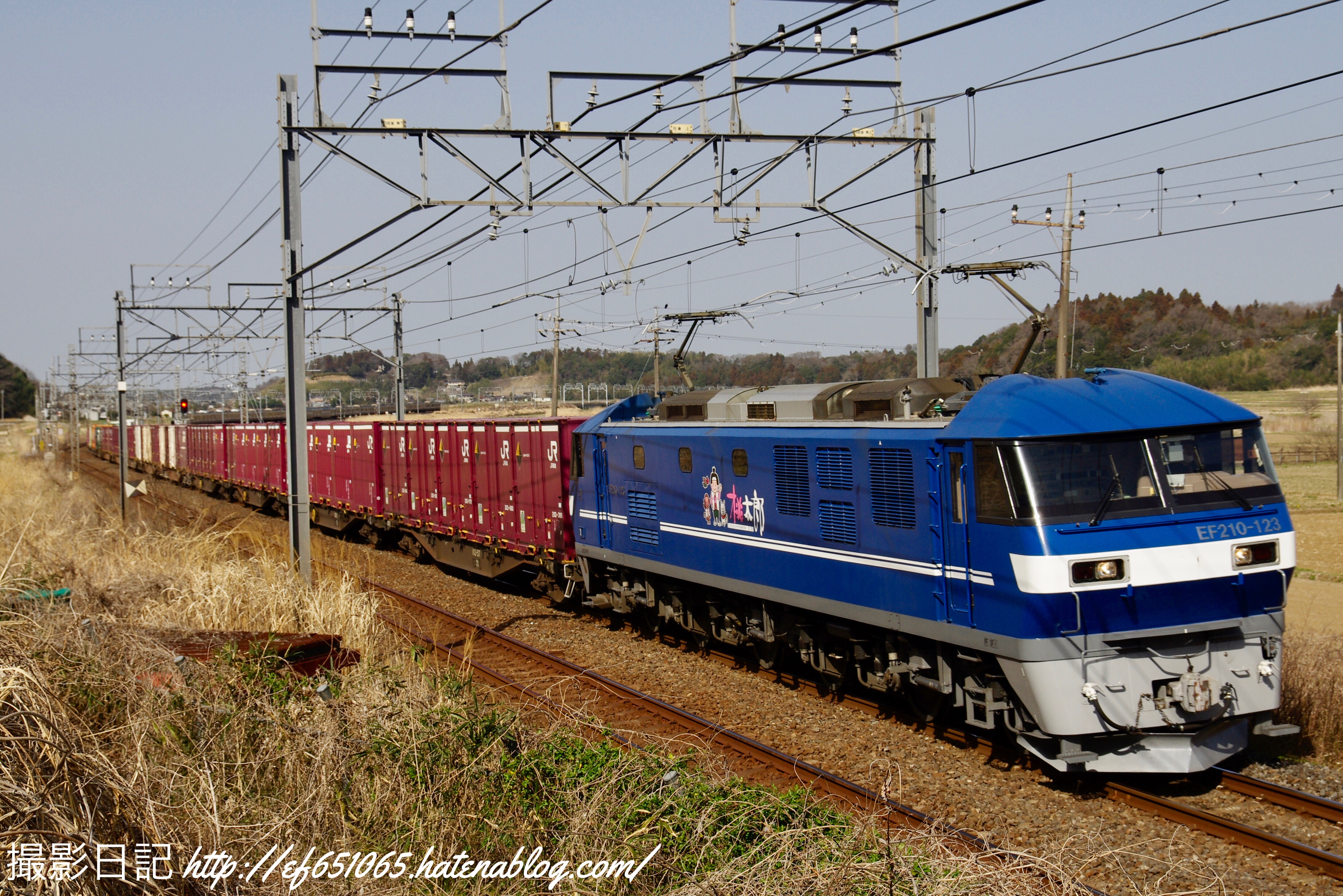 f:id:ef651065:20230311144605j:image