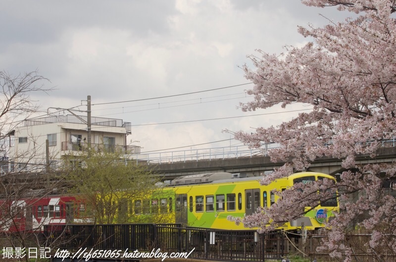 f:id:ef651065:20230330161032j:image