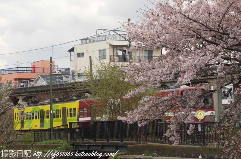 f:id:ef651065:20230330161149j:image